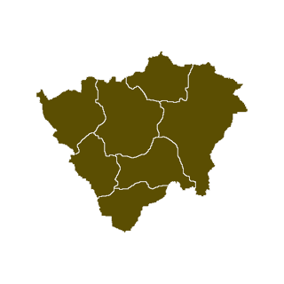 Powiat ząbkowicki
